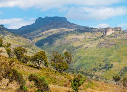 2 NIGHTS 3 DAYS AT MT. ELGON NATIONAL PARK