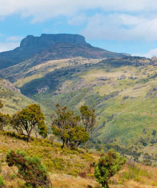 2 NIGHTS 3 DAYS AT MT. ELGON NATIONAL PARK